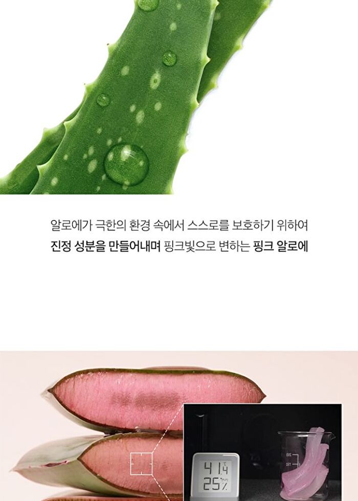 Aprilskin Pink Aloe Pack Cleanser - 120g