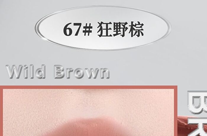 Focus Matte Lipstick - 6 Colors - 101# Naked Brown - 1.9g