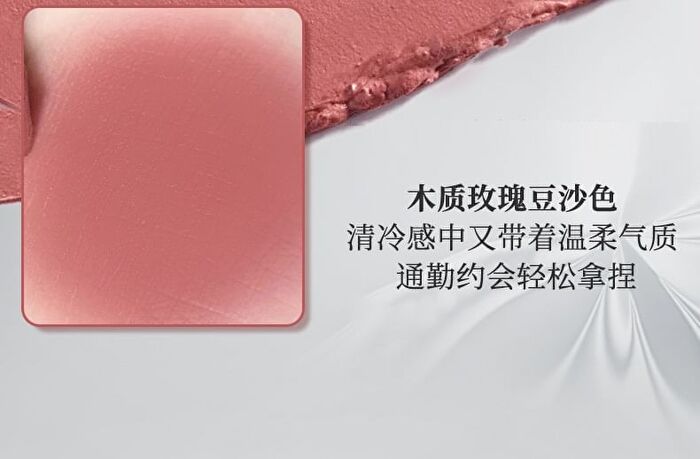 Focus Matte Lipstick - 6 Colors - 101# Naked Brown - 1.9g