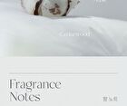 Perfume Hand Cream - 7 Types - #03 Powdery Rose