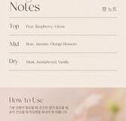 Perfume Hand Cream - 7 Types - #02 Jasmine Musc