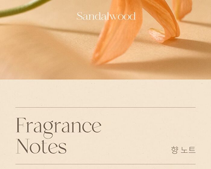 Perfume Hand Cream - 7 Types - #01 Tender Wood