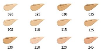 The Liquid Foundation SPF 15 PA++ - 020