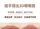 Hyntoor Chocolate Stick Plump Lip Liner - 3 Colors - 02# Blur - 0.2g