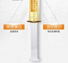 Coyu Ultimate Whitening & Brightening Essence - 2ml x 12