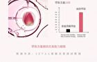 Natural Rose Essential Oil - 30ml