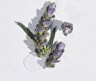 Lavender Essential Oil Serum - 30ml