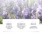 Lavender Essential Oil Serum - 30ml