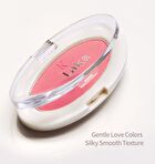 Love Silk Blush - 9 Colors - #709 Dolce