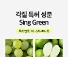 Re:dence Green Grape Gelato Pore Pack Cleanser - 100ml