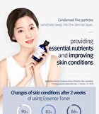 Essence Toner - 2024 Version - 200ml