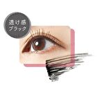 pdc Pmel Perfect Long & Curl Mascara - 1 pc
