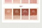 Black Rouge Glow Bokki Tint - 12 Colors - GB02 Burnt Tomato