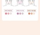 Black Rouge Dewy Whip Cheek And Beam - 3 Colors - DW03 Tangerine