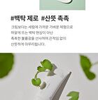 mixsoon Centella Sun Cream Mini - 5ml