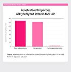 Bondex Protein Bonding Remodeling Shampoo - 400ml