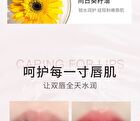 Luminous Plumping Color Changing Lip Oil - 2 Colors - 02# Tangerine Milk Tea - 3g