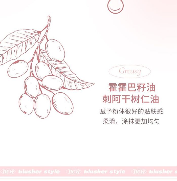 Sweet Encounter Highlighter Blush Palette - 3 Types - 03# Shell Kisses - 5.6g