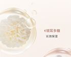 Uodo Matte Long-Lasting Loose Powder  For Oily Skin - 3 Shades - 04 Translucent (Shimmer) - 10g