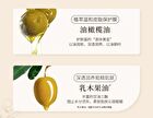 Poetic Series Fougere Plant Essential Oil Hand Cream - 7 Flavors - Rose of June - 75g