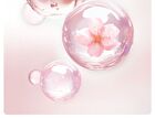 Little Dream Garden Niacinamide Sakura Body Lotion - #Lotion - 250ml