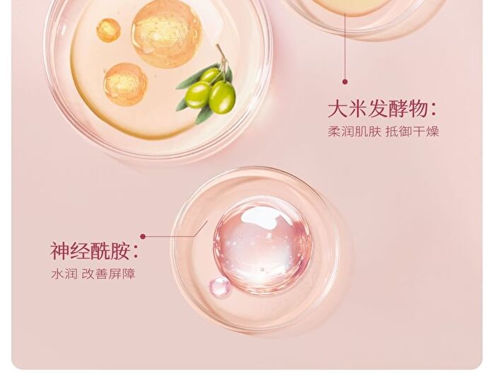 Little Dream Garden Niacinamide Sakura Body Lotion - #Lotion - 250ml