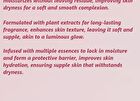 Little Dream Garden Niacinamide Sakura Body Lotion - #Lotion - 250ml