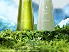 Chando Oil Control Refreshing Anti-Dandruff Shampoo - 550ml