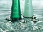 Chando Sensitive Scalp Moisturizing Shampoo - 550ml