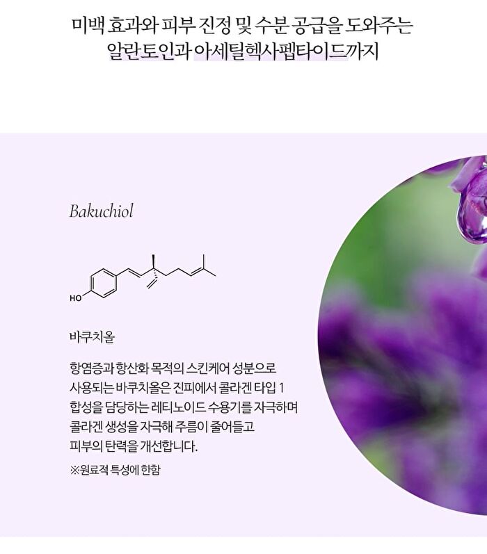 Bakuchiol Anti Wrinkle Ampoule Eye Patch - 60 patches