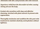 Little Dream Garden Mites Removing Matrine Soap - #20g