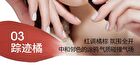 Silky Matte Lip Mud - 5 Colors - 03# Trace Orange - 10g