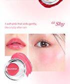 Melting Mood Lip & Cheek - 10 Colors - #10 Frosty