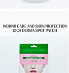 Cica Derma Spot Patch - 40 patches