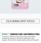 Cica Derma Spot Patch - 40 patches