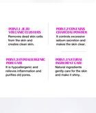 Jeju Volcanic Super Clay Pore Mask 2X - 120g