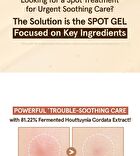Heartleaf Clear Spot Gel - 35ml