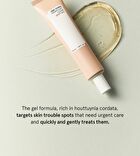 Heartleaf Clear Spot Gel - 35ml