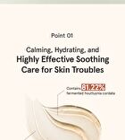 Heartleaf Clear Spot Gel - 35ml