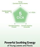 Cica B5 Mask - 30 sheets