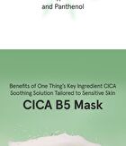 Cica B5 Mask - 30 sheets