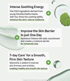 Cica B5 Mask - 30 sheets