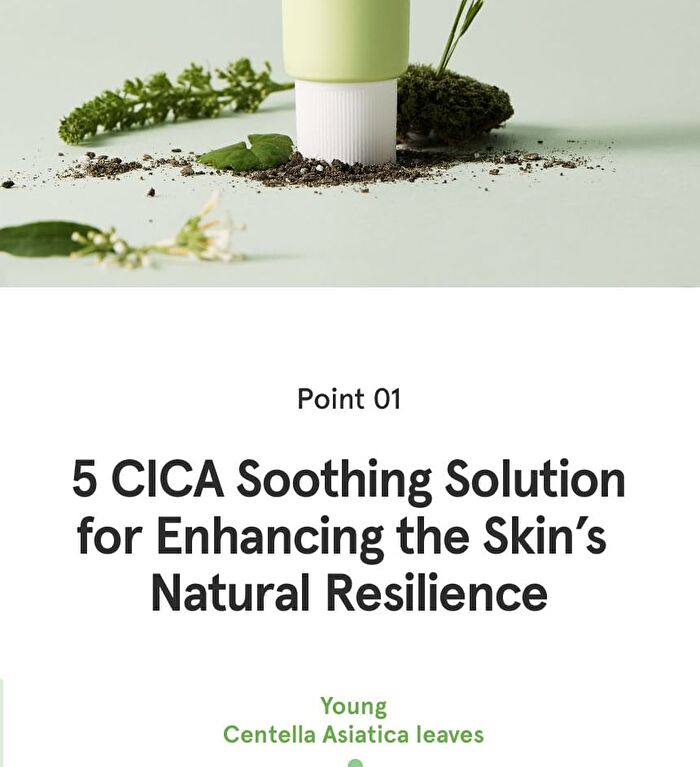Cica B5 Cream - 70ml