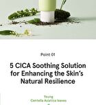 Cica B5 Cream - 70ml
