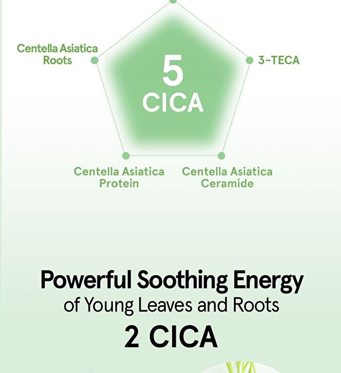 Cica B5 Cream - 70ml