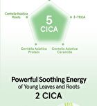 Cica B5 Cream - 70ml