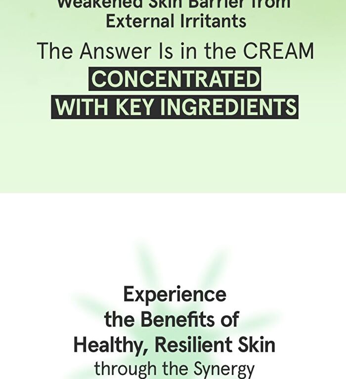 Cica B5 Cream - 70ml