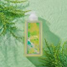 Nettle Balancing Shampoo+ - 500ml