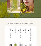 Nettle Balancing Shampoo+ - 500ml