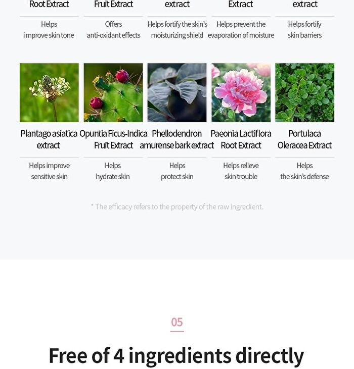 7 Ceramide Perfume Shower Gel - 5 Types - Cherry Blossom